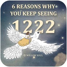 a white dove with the words, 6 reason why you are seeing 1222?