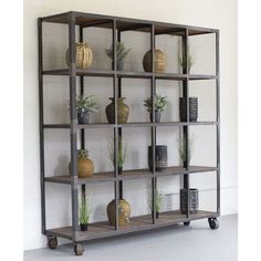 an industrial shelving unit with plants and pots on it's sides, against a white wall