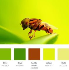 a bee sitting on top of a green leaf next to color swatches in different shades