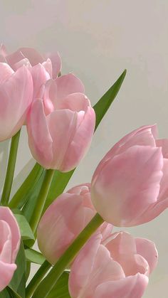 a vase filled with pink flowers on top of a table