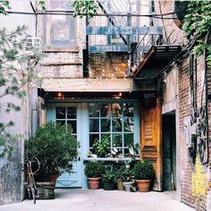 an alleyway with potted plants and stairs leading up to the second story window