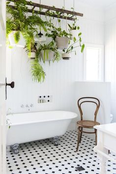 a white bath tub sitting next to a window filled with potted plants on the wall