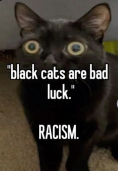 a black cat with the caption'racism'in front of it and an image of its eyes