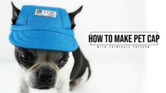 a dog wearing a blue hat with the words how to make pet cap