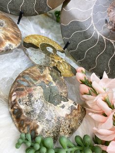 some rocks and flowers on a white furnishing with pink flowers in the foreground