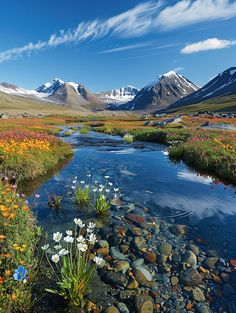 a stream running through a lush green valley filled with flowers and snow covered mountains in the distance