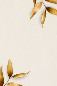 golden leaves on a white background