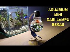 an aquarium filled with water and rocks on top of a wooden table next to a light bulb