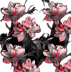 pink and black flowers are arranged in an abstract pattern on a white background with red accents