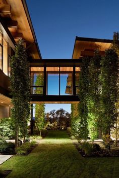 an exterior view of a modern house with trees and grass in the front yard at night