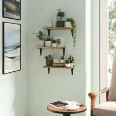 three wooden shelves with plants and pictures on the wall above them in a living room