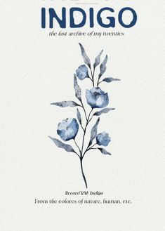 the front cover of indigoo, with blue flowers and leaves in watercolor on white paper