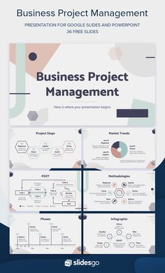 the business project management manual is shown in this graphic style, it includes diagrams and text