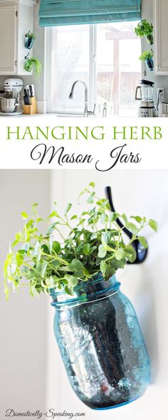 hanging herb mason jars are the perfect way to add color and texture to your kitchen