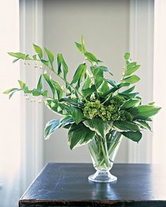 a vase filled with green leaves on top of a table