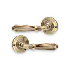 two brass door handles on a white background