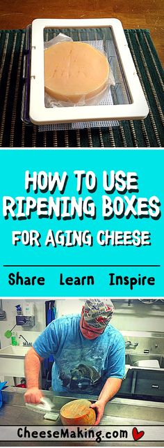 how to use ripening boxes for aging cheese by share lean insure with chef