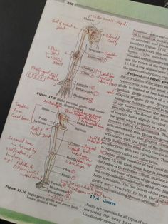 an old book with some writing on it and a drawing of the human body in red ink