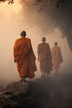 three monks in orange robes walking on a foggy day with trees and rocks behind them