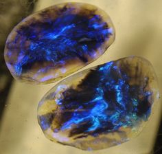 Lightning Ridge Black Opal Lightning Ridge Black Opal, Pretty Rocks, Rare Stone, Beautiful Rocks, Lightning Ridge, Mineral Stone, Minerals And Gemstones, Rocks And Gems, Gems And Minerals