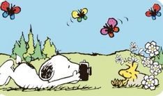 snoopy laying on the ground with butterflies flying above