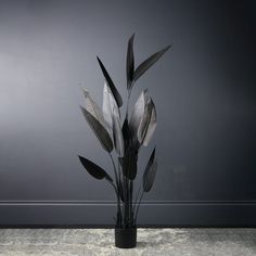 a black vase filled with leaves on top of a wooden floor next to a wall