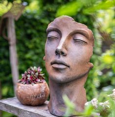 a planter sitting on top of a wooden shelf next to a statue's head