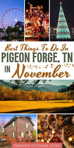 Best Things To Do In Pigeon Forge In November Thanksgiving In Pigeon Forge, Pigeon Forge Tennessee In November, Dinner Shows In Pigeon Forge, Free Things To Do In Pigeon Forge