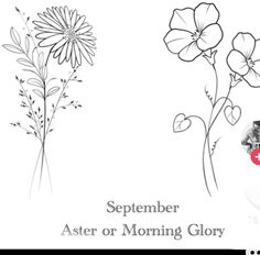 a black and white photo of flowers with the words, september aster or morning glory