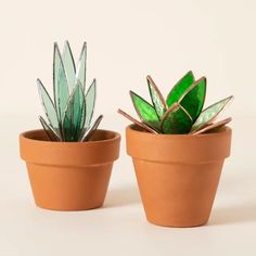 two potted plants sitting next to each other on a white surface, one green and the other brown