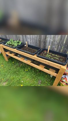 several trays of plants are sitting on a wooden stand in the grass next to a fence