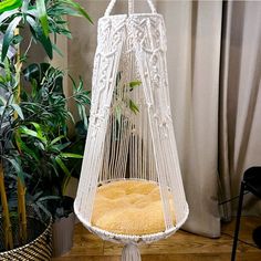 a hammock hanging in front of a potted plant