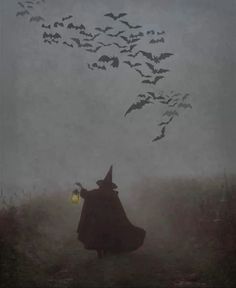 a person with a lantern in their hand and bats flying over them on a foggy day