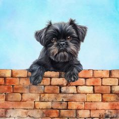 a black dog sitting on top of a brick wall with his paws hanging over the edge