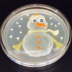 a frosty snowman in a clear plastic container with hearts on the bottom and an orange nose