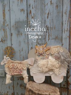 a stuffed animal sitting on top of a wooden bench next to a blue door with the words inedha photography design written above it