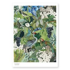 an illustration of birds and flowers on a green background with blueberries, berries, and leaves