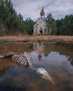 there is a skeleton in the water near a church