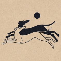 an image of a dog chasing a ball in the air with another dog on it's back