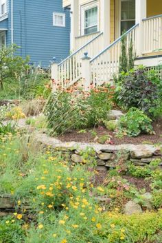 the garden is full of flowers and plants in front of blue houses with white balconies