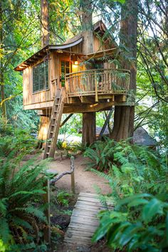 a tree house in the woods with stairs leading up to it