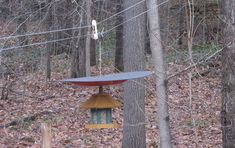 a bird feeder in the middle of a wooded area