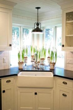 a kitchen with white cabinets and black counter tops, an island style sink and potted plants in the window sill