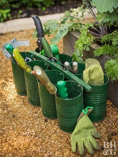 several green buckets with gardening tools in them on the ground next to some plants