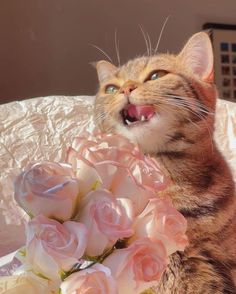 a cat laying on top of a bed next to pink roses and a vase with it's eyes closed