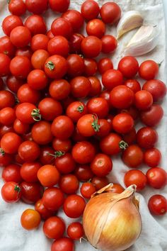 tomatoes, garlic and onions on a white table cloth next to an onion wedged in half