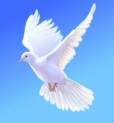 a white bird is flying in the blue sky