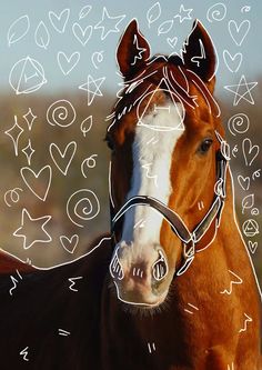 a brown and white horse with hearts drawn on it's face