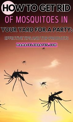 how to get rid of mosquitoes in your yard for a party? effective tip and top products