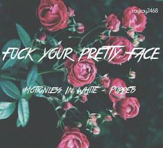 pink roses with green leaves and the words, flick your pretty face motionless in white